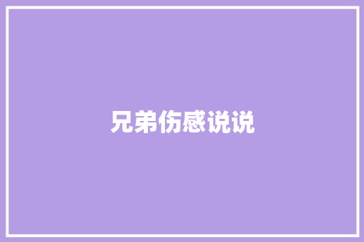 兄弟伤感说说