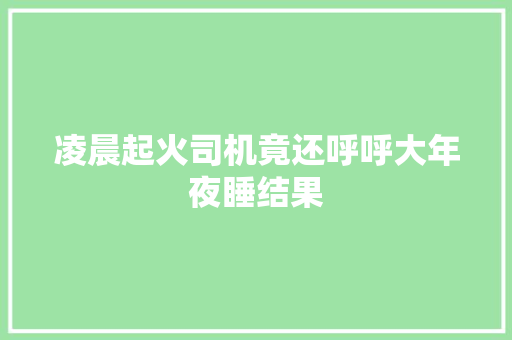 凌晨起火司机竟还呼呼大年夜睡结果