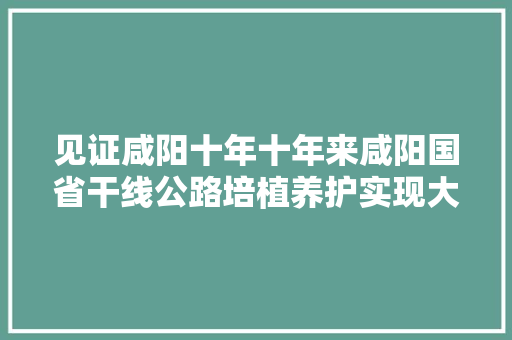 见证咸阳十年十年来咸阳国省干线公路培植养护实现大年夜成终年夜跨越