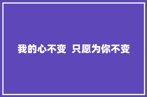 我的心不变  只愿为你不变