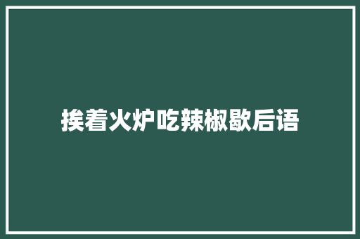 挨着火炉吃辣椒歇后语