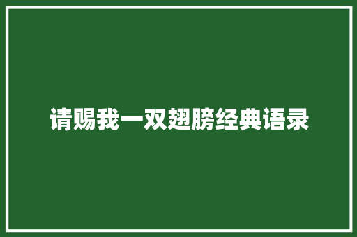 请赐我一双翅膀经典语录