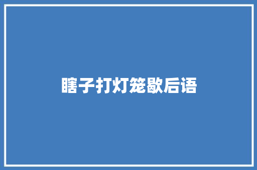 瞎子打灯笼歇后语