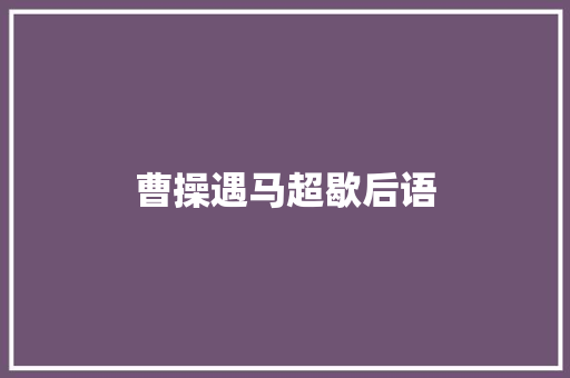 曹操遇马超歇后语