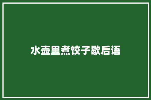 水壶里煮饺子歇后语