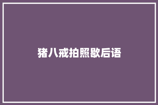 猪八戒拍照歇后语