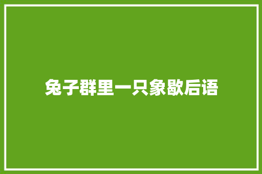 兔子群里一只象歇后语