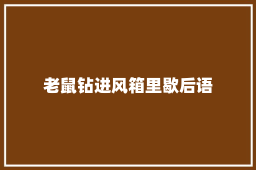 老鼠钻进风箱里歇后语