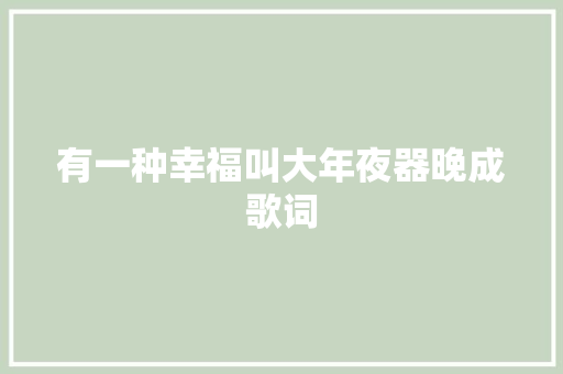 有一种幸福叫大年夜器晚成歌词