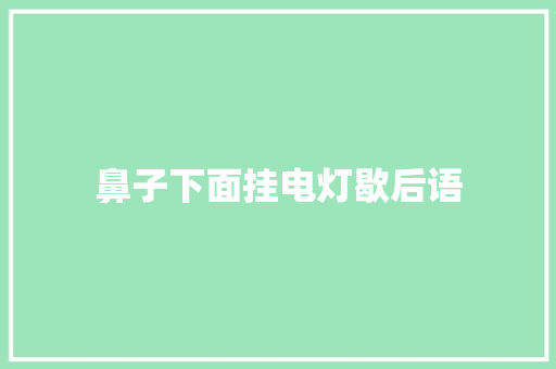 鼻子下面挂电灯歇后语
