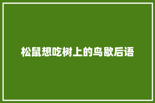 松鼠想吃树上的鸟歇后语 知识百科