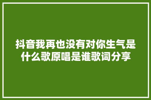抖音我再也没有对你生气是什么歌原唱是谁歌词分享
