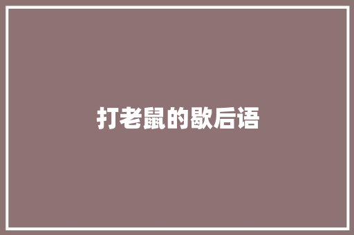 打老鼠的歇后语