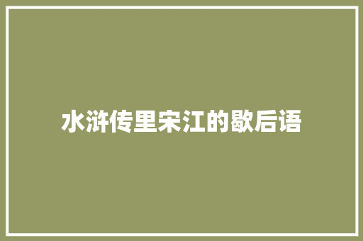 水浒传里宋江的歇后语