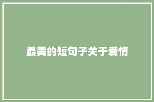 最美的短句子关于爱情