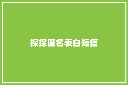 探探匿名表白短信