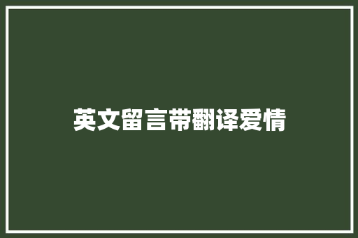 英文留言带翻译爱情