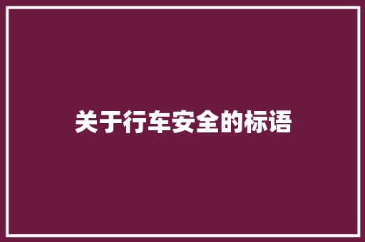 关于行车安全的标语