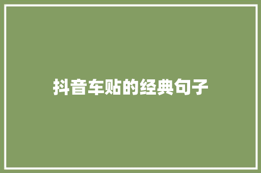 抖音车贴的经典句子