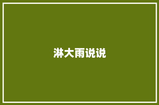 淋大雨说说
