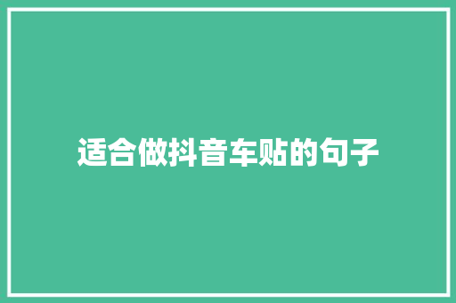 适合做抖音车贴的句子
