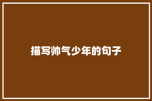 描写帅气少年的句子