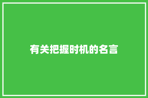 有关把握时机的名言