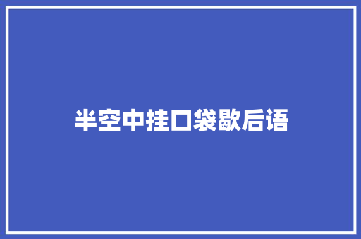 半空中挂口袋歇后语