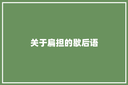 关于扁担的歇后语