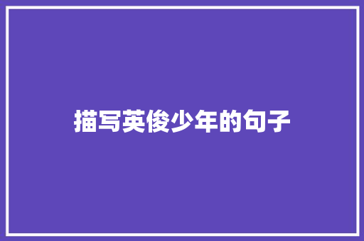 描写英俊少年的句子