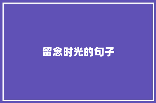 留念时光的句子