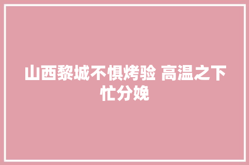 山西黎城不惧烤验 高温之下忙分娩 汽车知识