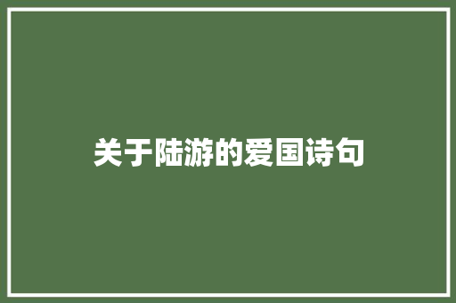 关于陆游的爱国诗句