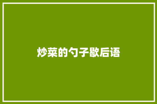 炒菜的勺子歇后语
