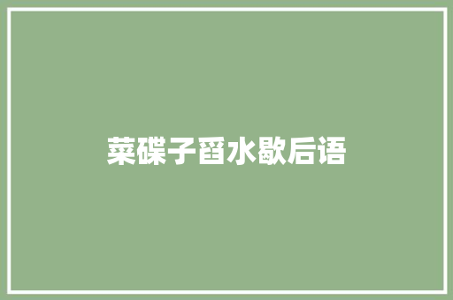 菜碟子舀水歇后语