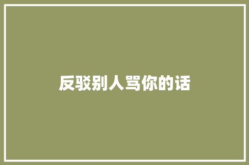 反驳别人骂你的话