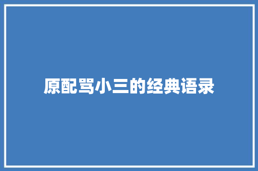 原配骂小三的经典语录