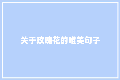 关于玫瑰花的唯美句子