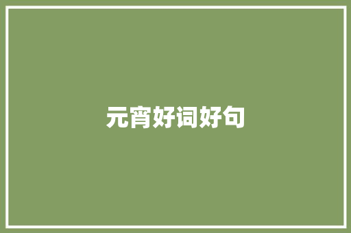元宵好词好句