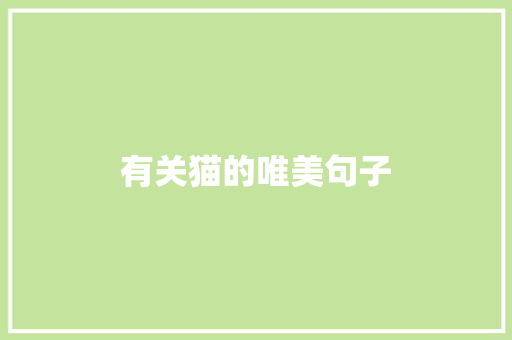 有关猫的唯美句子