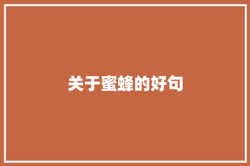 关于蜜蜂的好句