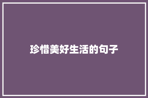 珍惜美好生活的句子