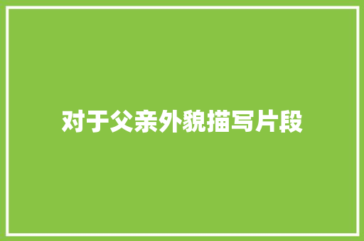 对于父亲外貌描写片段