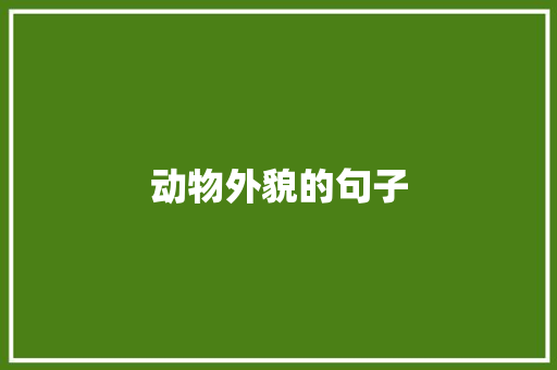 动物外貌的句子