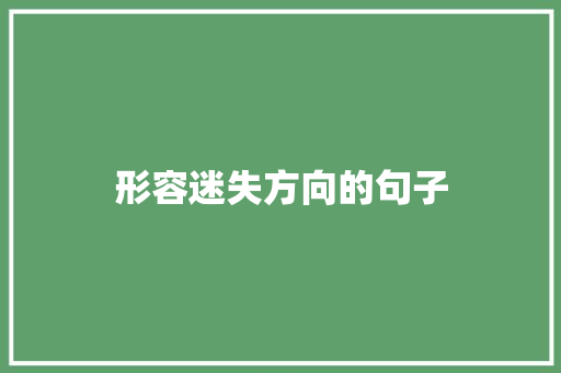 形容迷失方向的句子