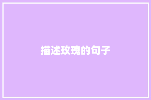 描述玫瑰的句子
