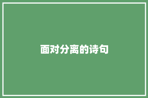 面对分离的诗句