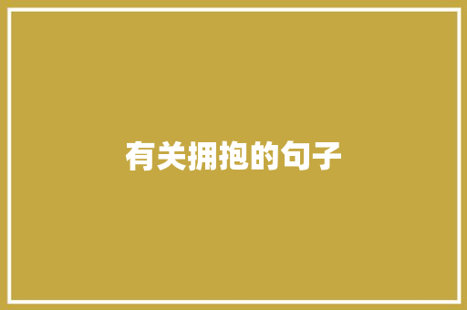有关拥抱的句子