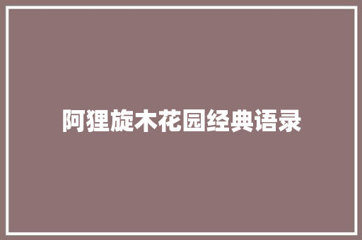 阿狸旋木花园经典语录