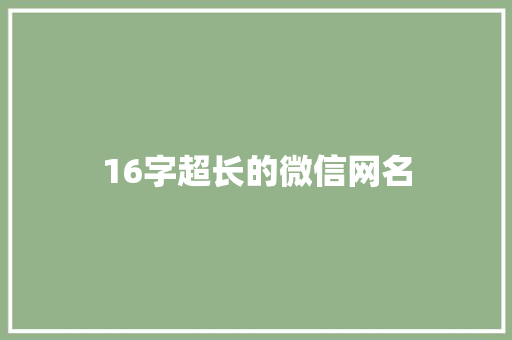 16字超长的微信网名